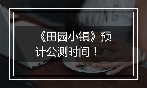 《田园小镇》预计公测时间！