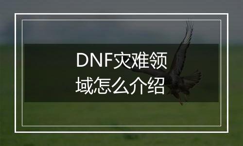 DNF灾难领域怎么介绍