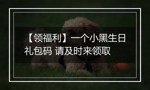 【领福利】一个小黑生日礼包码 请及时来领取