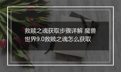 救赎之魂获取步骤详解 魔兽世界9.0救赎之魂怎么获取