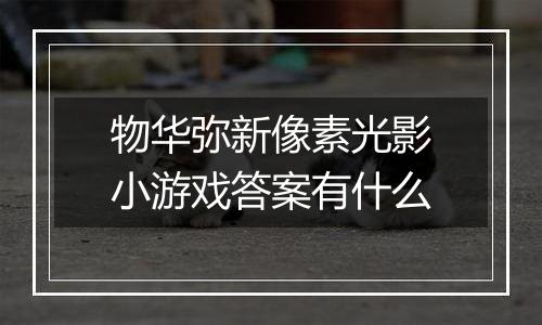 物华弥新像素光影小游戏答案有什么