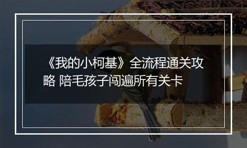 《我的小柯基》全流程通关攻略 陪毛孩子闯遍所有关卡