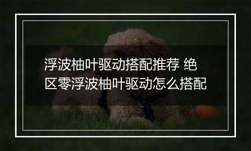 浮波柚叶驱动搭配推荐 绝区零浮波柚叶驱动怎么搭配