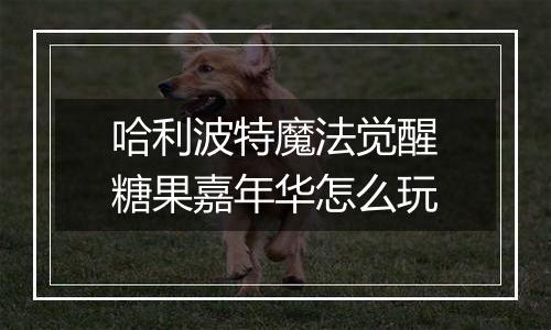 哈利波特魔法觉醒糖果嘉年华怎么玩