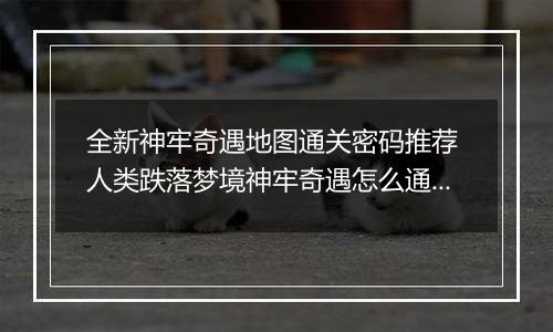 全新神牢奇遇地图通关密码推荐 人类跌落梦境神牢奇遇怎么通关