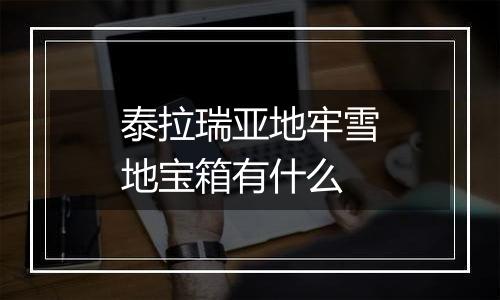 泰拉瑞亚地牢雪地宝箱有什么