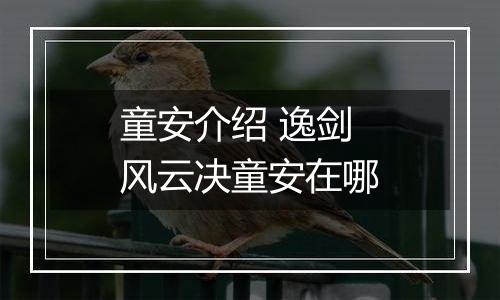 童安介绍 逸剑风云决童安在哪