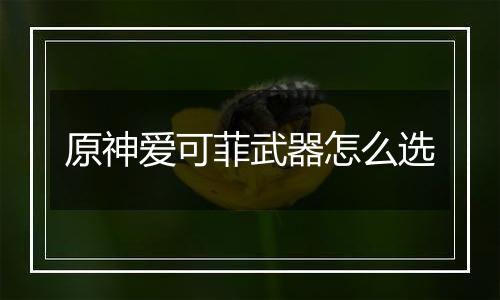 原神爱可菲武器怎么选