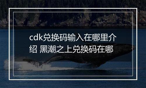 cdk兑换码输入在哪里介绍 黑潮之上兑换码在哪