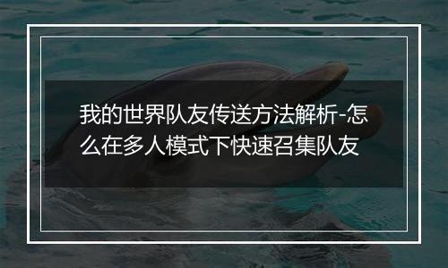 我的世界队友传送方法解析-怎么在多人模式下快速召集队友