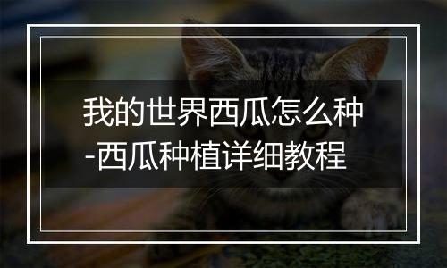 我的世界西瓜怎么种-西瓜种植详细教程