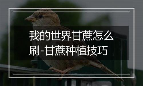 我的世界甘蔗怎么刷-甘蔗种植技巧