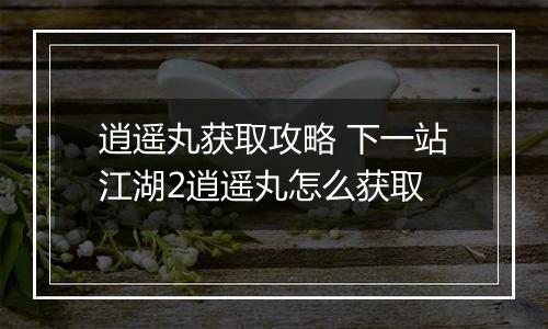 逍遥丸获取攻略 下一站江湖2逍遥丸怎么获取