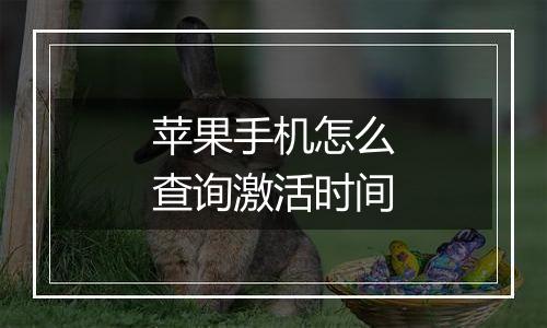 苹果手机怎么查询激活时间