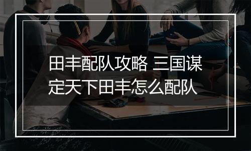 田丰配队攻略 三国谋定天下田丰怎么配队