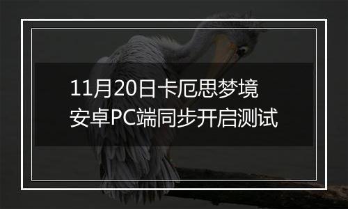 11月20日卡厄思梦境安卓PC端同步开启测试