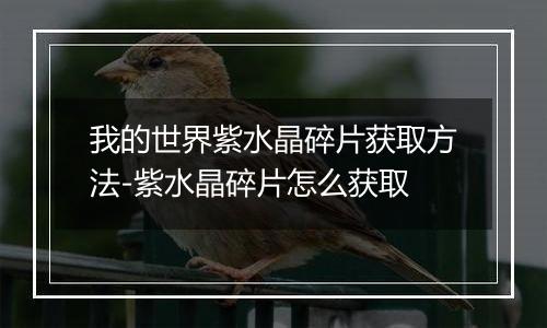 我的世界紫水晶碎片获取方法-紫水晶碎片怎么获取