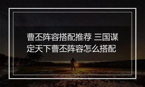 曹丕阵容搭配推荐 三国谋定天下曹丕阵容怎么搭配