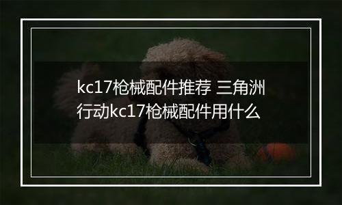 kc17枪械配件推荐 三角洲行动kc17枪械配件用什么