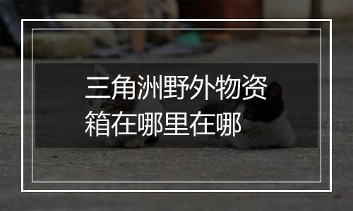 三角洲野外物资箱在哪里在哪