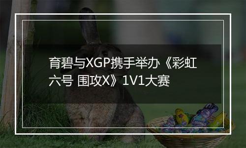 育碧与XGP携手举办《彩虹六号 围攻X》1V1大赛