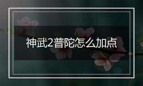 神武2普陀怎么加点