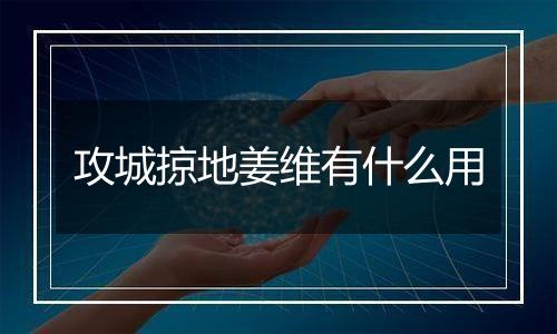 攻城掠地姜维有什么用