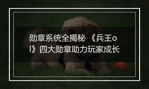 勋章系统全揭秘 《兵王ol》四大勋章助力玩家成长