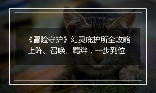 《冒险守护》幻灵庇护所全攻略 上阵、召唤、羁绊，一步到位