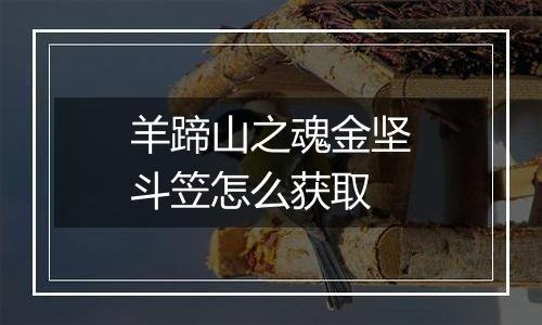 羊蹄山之魂金坚斗笠怎么获取
