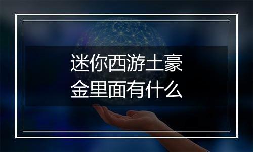 迷你西游土豪金里面有什么