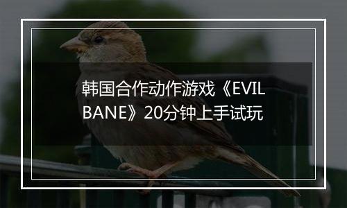 韩国合作动作游戏《EVILBANE》20分钟上手试玩