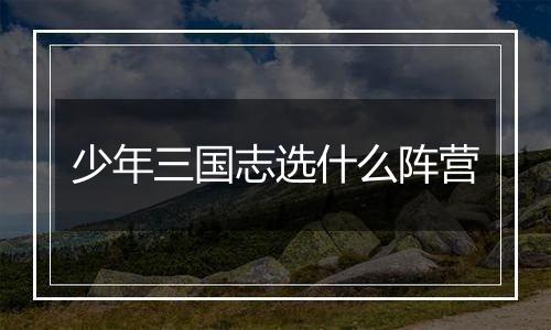 少年三国志选什么阵营