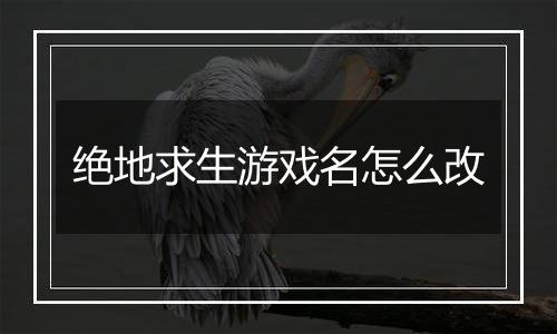 绝地求生游戏名怎么改