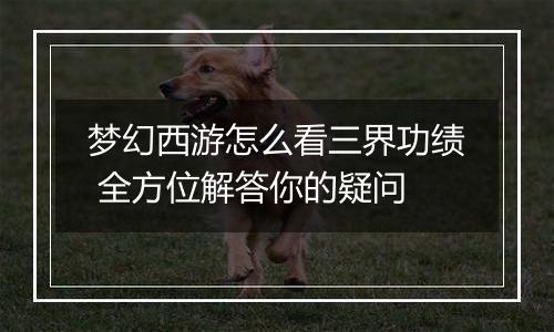 梦幻西游怎么看三界功绩 全方位解答你的疑问