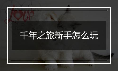 千年之旅新手怎么玩