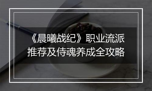 《晨曦战纪》职业流派推荐及侍魂养成全攻略