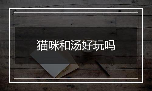 猫咪和汤好玩吗