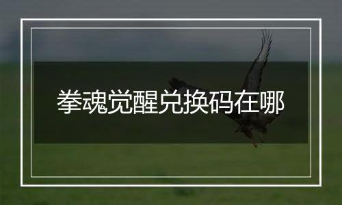 拳魂觉醒兑换码在哪