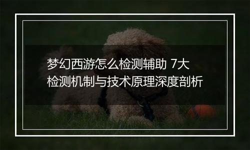 梦幻西游怎么检测辅助 7大检测机制与技术原理深度剖析