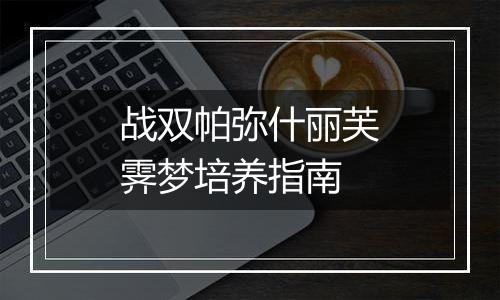 战双帕弥什丽芙霁梦培养指南
