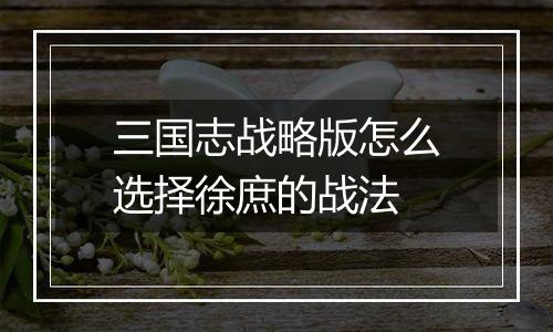 三国志战略版怎么选择徐庶的战法