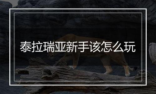 泰拉瑞亚新手该怎么玩