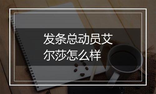 发条总动员艾尔莎怎么样