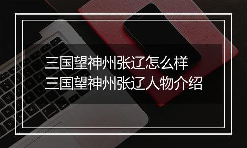 三国望神州张辽怎么样 三国望神州张辽人物介绍